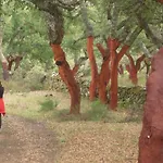 La Fuente Del Coso *