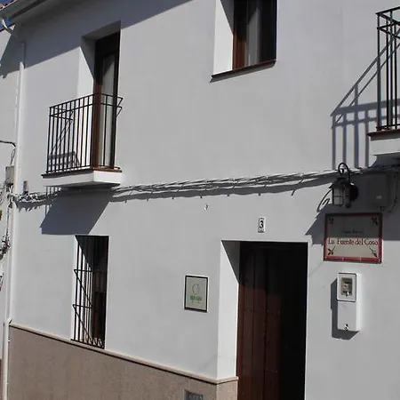 La Fuente Del Coso *