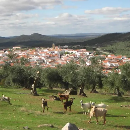 La Fuente Del Coso *